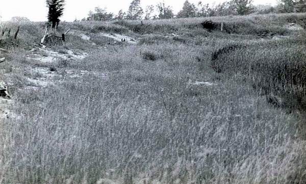 Sunset Speedway - From Laurie Krupa (newer photo)